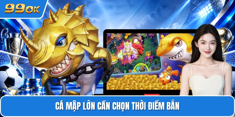 Cá mập lớn cần chọn thời điểm bắn